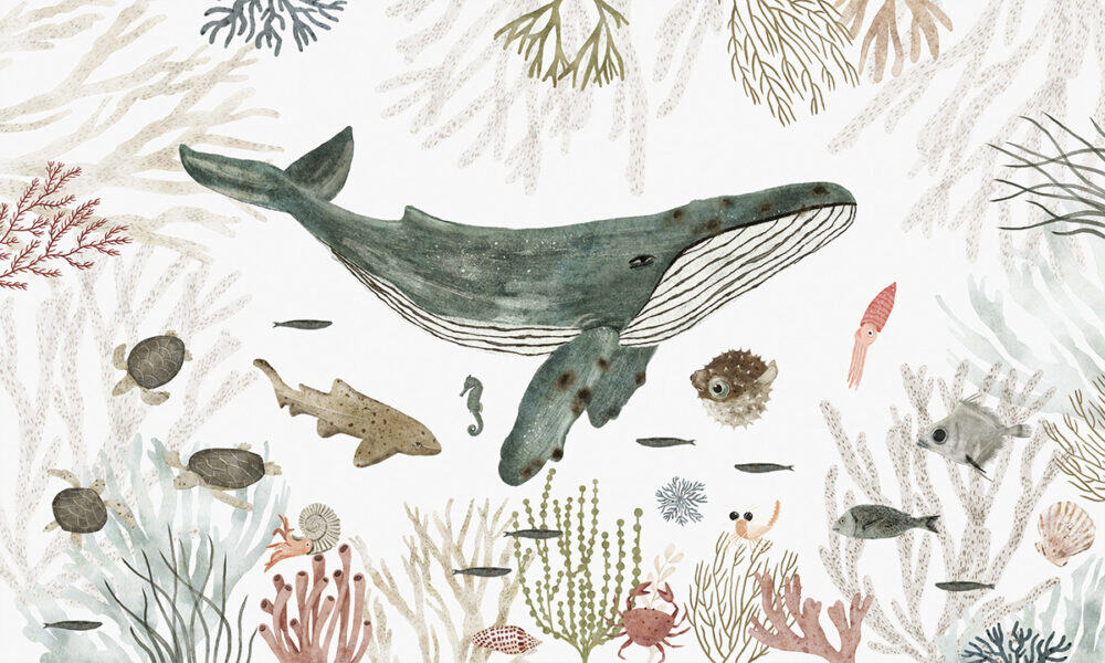 Fotobehang van walvis tussen koraal voor kinderkamer