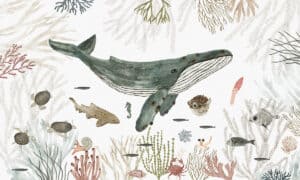 Fotobehang van walvis tussen koraal voor kinderkamer