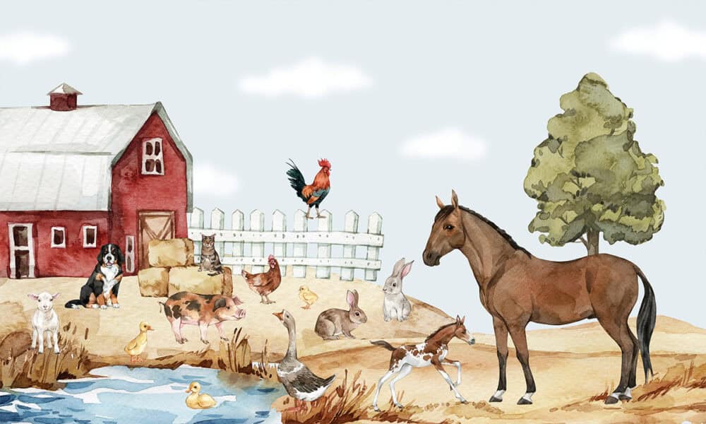 Boerderijdieren in vrolijke kleuren op behang