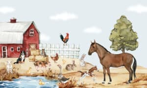 Boerderijdieren in vrolijke kleuren op behang