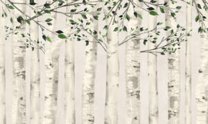 Behang met Scandinavisch berkenbos