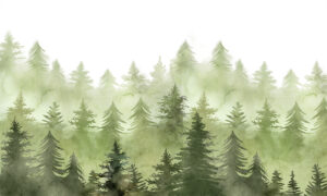 Fotobehang met mistig naaldbos in aquarelstijl