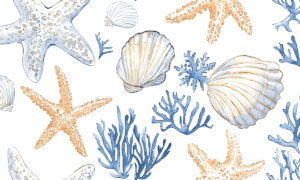 Maritiem fotobehang met zeesterren en schelpen in aquarelstijl