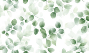 Botanisch fotobehang met eucalyptusbladeren in aquarelstijl