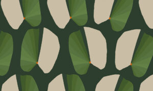 Retro fotobehang met olijfgroene bladeren.