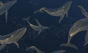 Fotobehang met walvissen en sterren in goud