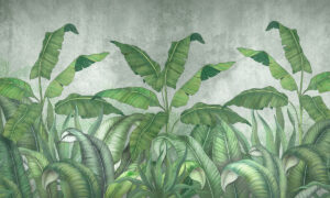 Fotobehang met bananenplanten en betonlook